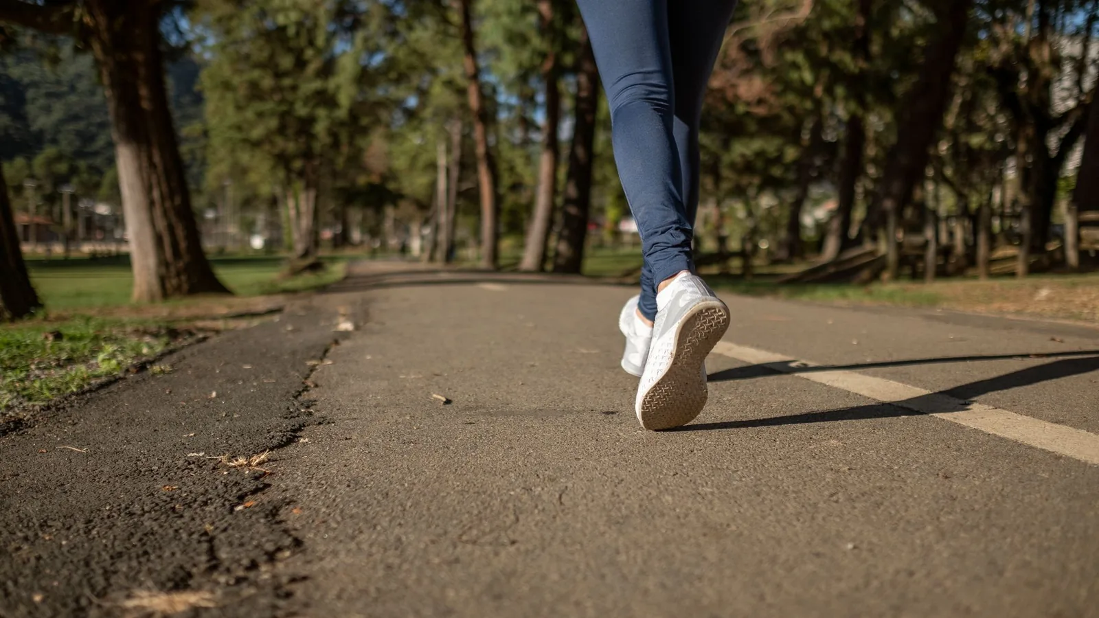 Best Running Belts for Phones and Essentials